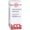 Colocynthis D 8, 20 ml