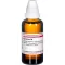 Cyclamen D 6, 50 ml