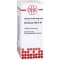 Echinacea ha D30, 20 ml