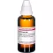 Echinacea ha D30, 50 ml