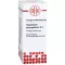 GNAPHALIUM POLYCEPHALUM D 3 Diluizione, 50 ml