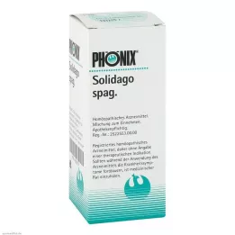 PHÖNIX SOLIDAGO impasto di spaghetti, 100 ml