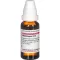 MANDRAGORA D 12 Diluizione, 20 ml