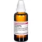 Phellandrium aquat D 3, 50 ml