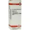 SEPIA Diluizione C 12, 20 ml