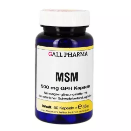 MSM 500 mg GPH capsule, 60 pz