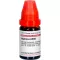 AGARICUS LM XII Diluizione, 10 ml