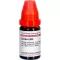 CACTUS LM VI Diluizione, 10 ml