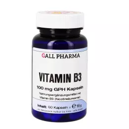 VITAMIN B3 100 mg GPH capsule, 60 pz
