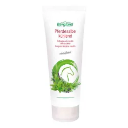Unguento rinfrescante per cavallo (100 ml)