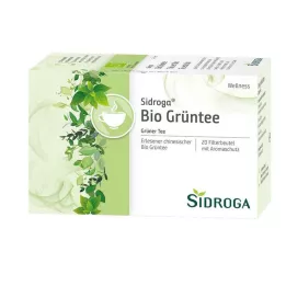SIDROGA Bustine filtro di tè verde Wellness, 20X1,7 g