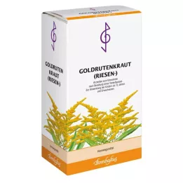 GOLDRUTENKRAUT Tè gigante, 100 g