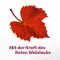 ANTISTAX compresse extra venose, 90 pz