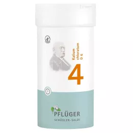 BIOCHEMIE Pflüger 4 Kalium chloratum D 6 compresse, 400 pz