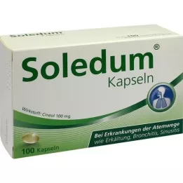 SOLEDUM 100 mg di capsule resistenti gastrica, 100 pz