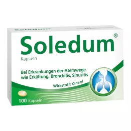 SOLEDUM Capsule gastroresistenti da 100 mg, 100 pz