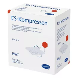 ES-KOMPRESSEN sterile 5x5 cm confezione da 12, 20X5 pz
