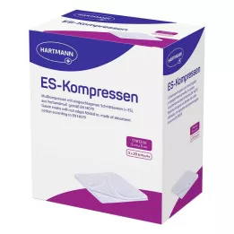 ES-KOMPRESSEN sterile 5x5 cm confezione da 12, 5X20 pz