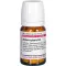Actaea Spic D 4, 80 pz