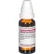 ARUNDO mauritanica D 12 Diluizione, 20 ml
