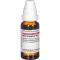 ARUM TRIPHYLLUM D 12 Diluizione, 20 ml
