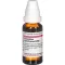 Ceanothus Amer C200, 20 ml