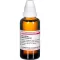 Ceanothus Amer D 4, 50 ml
