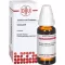 Crocus urt D 1, 20 ml