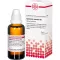 EQUISETUM ARV D 2, 50 ml