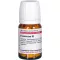 Foeniculum D 2, 80 pz