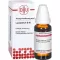 LYCOPODIUM Diluizione D 60, 20 ml