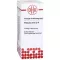 Primula Veris D 4, 20 ml