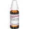 ZINGIBER Tintura madre, 20 ml