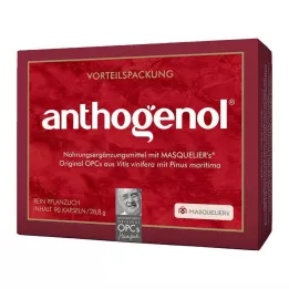 OPC ORIGINAL Masqueliers Anthogenol capsule, 90 pz