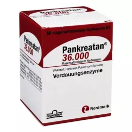 PANKREATAN 36.000 capsule rigide gastroresistenti, 50 pz