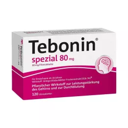 TEBONIN compresse rivestite con film speciali da 80 mg, 120 pz