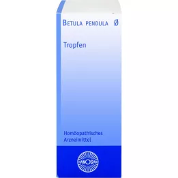 BETULA PENDULA Tintura madre Hanosan, 20 ml