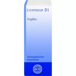 LYCOPODIUM Tintura madre D 1 Hanosan, 50 ml
