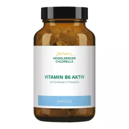VITAMIN B6 CAPSULE, 120 pz
