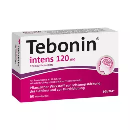TEBONIN compresse rivestite con film intens 120 mg, 60 pz