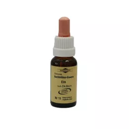 BACHBLÜTEN Murnauer Elm Drop, 20 ml