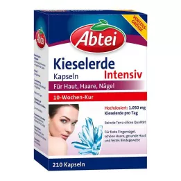 ABTEI Capsule di silice, 210 pz