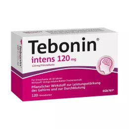 TEBONIN compresse rivestite con film intens 120 mg, 120 pz