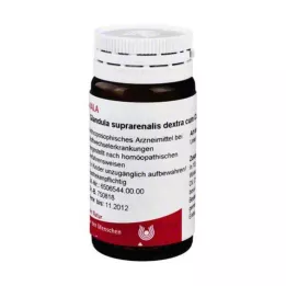 GLANDULA SUPRARENALIS destrosio con Cupro Globuli, 20 g