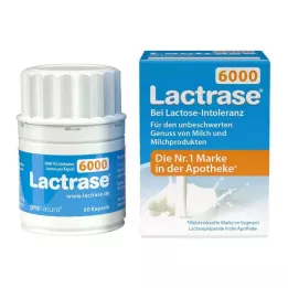 LACTRASE 6.000 FCC capsule, 60 pz