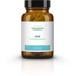 SAM S-ADENOSYLMETHIONIN capsule, 60 pz