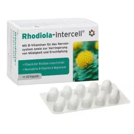 RHODIOLA-INTERCELL capsule, 60 pz