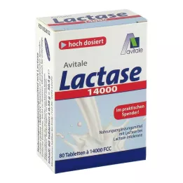 LACTASE 14.000 FCC compresse in dispenser, 80 pz