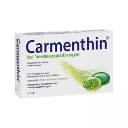 CARMENTHIN per disturbi digestivi msr.Capsule molli, 14 pz
