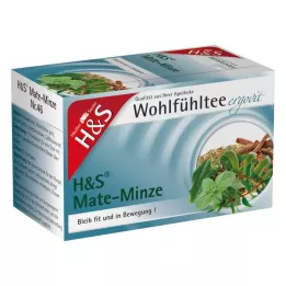 H&amp;S Mate Mint Filter Bag, 20 pz